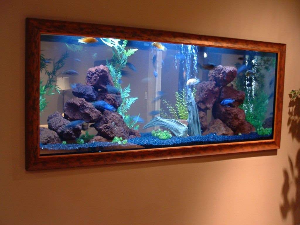 Fish Tank Aqurium