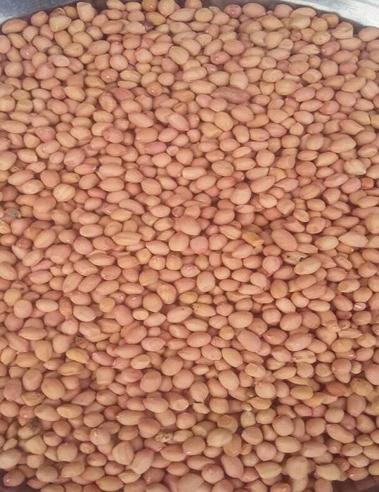 Shelled Nuts For Sale Wholesale In Harare SAVEMARI