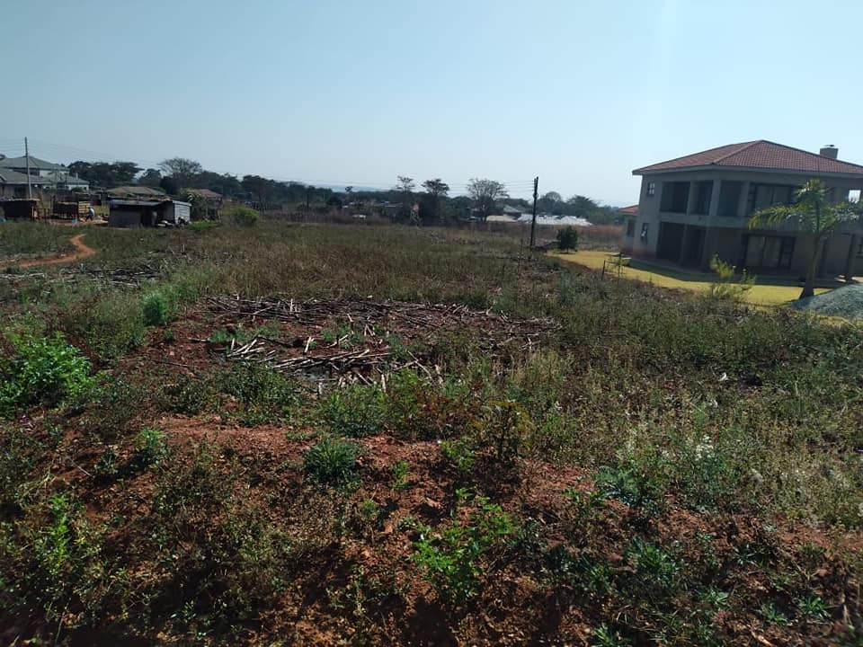 Gletwin High End Suburb Stand For Sale SAVEMARI